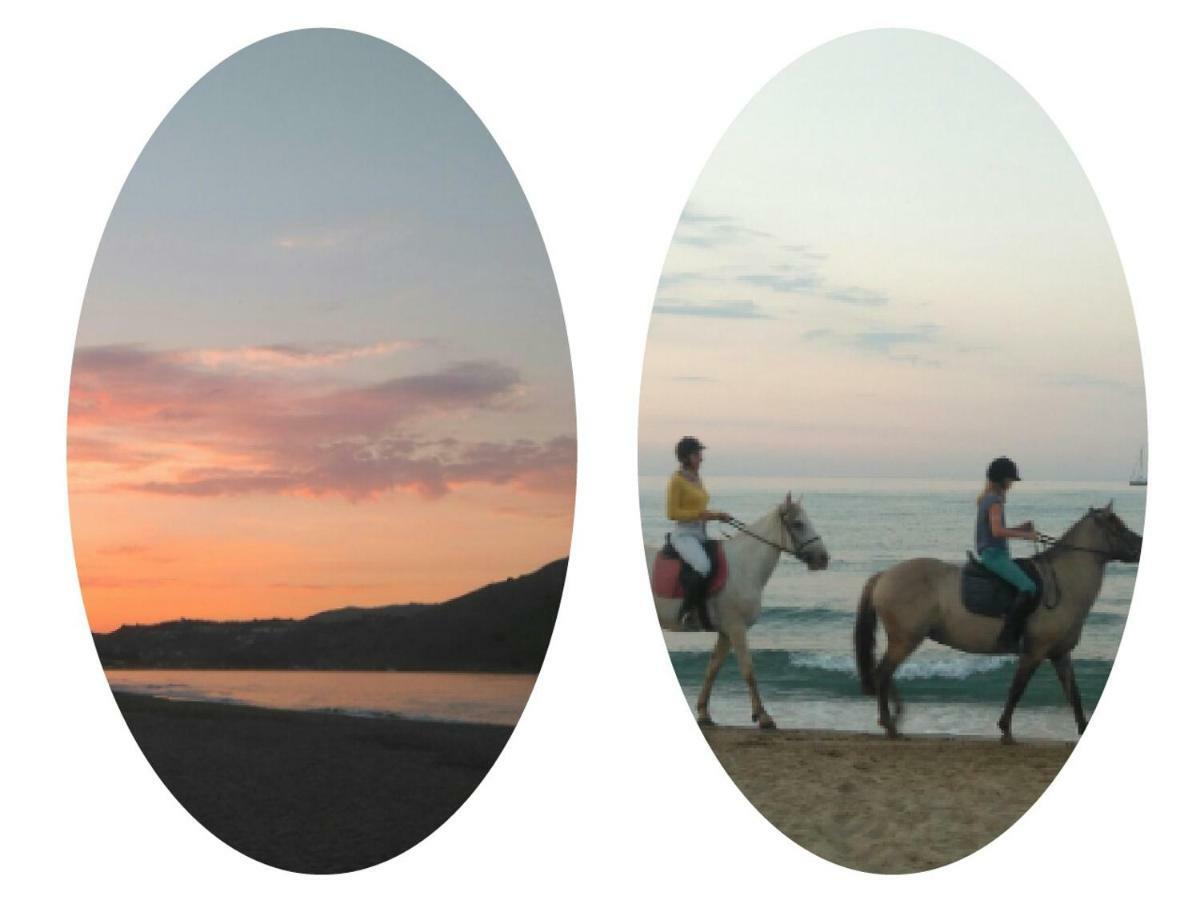 360 Panorama House - Gazing At Horizon And The Stars Of The Galaxy In The Night - Fresh Cool Breeze Most Of The Time - Just 7 Min From The Beach Kournás Dış mekan fotoğraf